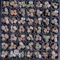 Heirloom Mix Lithops Pseudotruncatella Succulent Plant 200 Seeds