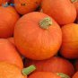 Sweet Pumpkin 20 Seeds