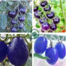 Mixed Pear-shaped and Round Purple Cherry Tomato 200 Seeds