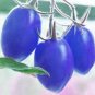Mixed Pear-shaped and Round Purple Cherry Tomato 200 Seeds