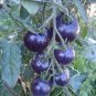 Mixed Pear-shaped and Round Purple Cherry Tomato 200 Seeds