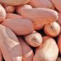 Pink Banana Jumbo Pumpkin 40 Seeds