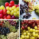 Mixed 6 Varieties of Grape 30 Seeds