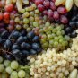 Mixed 6 Varieties of Grape 30 Seeds