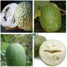 Heirloom Malabar Gourd 16 Seeds