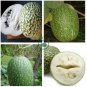 Heirloom Malabar Gourd 16 Seeds
