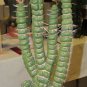 Rare Cactus Seeds Real Succulent Seeds Green Spiral Funny Bonsai Flower Plant 200 Seeds