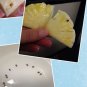 Pineapple Seeds Yellow Ornamental Leaves Bromeliad Plant 40 Seeds