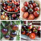 Rare Heirloom Indigo Blue Tomato Hybrid 100 Seeds