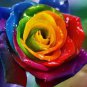 Rainbow Rose Seeds Rare Colorful Flower Potted Plant Garden 200 Seeds
