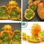 Rare Heirloom African Horned Melon 100  Seeds