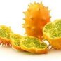 Rare Heirloom African Horned Melon 100  Seeds