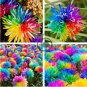 Rainbow Chrysanthemum Flower 40 Seeds