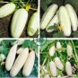 Rare Low Acid White Wonder Cucumber 100 Seeds