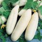Rare Low Acid White Wonder Cucumber 100 Seeds