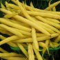 Bush Beans Yellow Wax Bean 16 Seeds