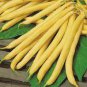 Bush Beans Yellow Wax Bean 16 Seeds