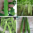 Taiwan 's Long Green Balsam pear Bitter Melon 20 Seeds