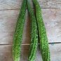 Taiwan 's Long Green Balsam pear Bitter Melon 20 Seeds