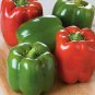 Giant Sweet Pepper 400 Seeds