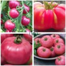 Heirloom Pink Girl Big Bunches of Tomato  200 Seeds