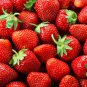 Large-sized Bright Red Cream Red Strawberry 120 Seeds