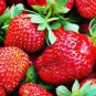 Large-sized Bright Red Cream Red Strawberry 120 Seeds