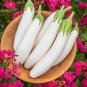 Eggplant Seeds Heirloom Moon White Long Hybrid Vegetables 1400 Seeds