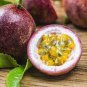 Passion Fruit Passiflora edulis Fruit 20 Seeds
