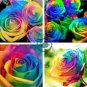 Rarest Bright Rainbow Rose Flower 100 Seeds