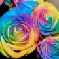 Rarest Bright Rainbow Rose Flower 100 Seeds