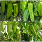 Anhui Green Long Sweet Cow-horn Pepper F1 70 Seeds