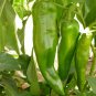 Anhui Green Long Sweet Cow-horn Pepper F1 70 Seeds