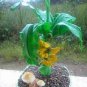 Dwarf Banana 200 Seeds