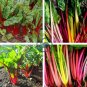Perpetual Spinach varieties Swiss Chard Pink Flamngo 40 Seeds