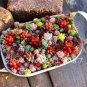 Mixed Mini Lithops Bonsai Plants Cactus Bonsai Plants 200 Seeds