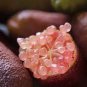 Rare Imported Pink Rose Bliss Finger Lime Plant 20 seeds