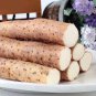Chinese Yam Perennial Herbal Vegetable 12 Seeds