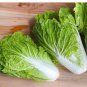 Heirloom Chinese Cabbage Wong Bok Vegetable 60 Seeds