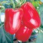 Bell Pepper 'Cajun Belle' Vegetable 40 Seeds