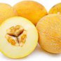 Italian Ananas Hami Melon Fruits 40 seeds