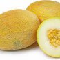 Italian Ananas Hami Melon Fruits 40 seeds