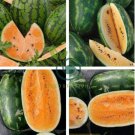 Orange Tendersweet Watermelon 40 Seeds