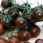 'Black Pearl' Bright Black Round Cherry Tomato 40 Seeds