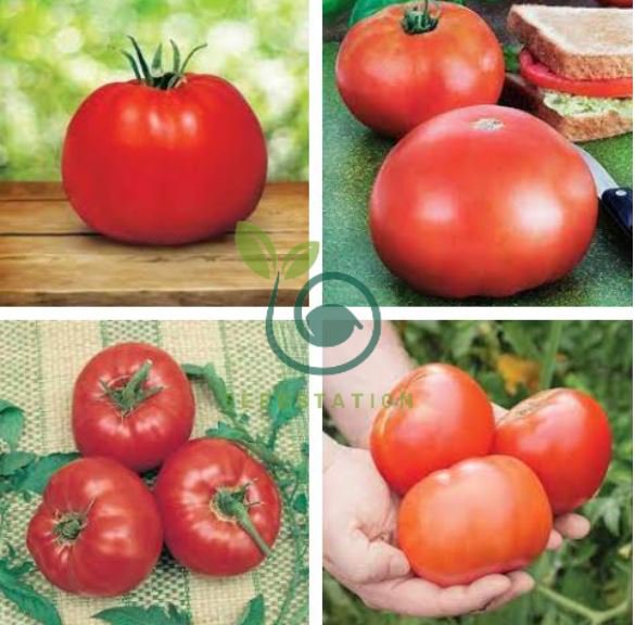 Park's Whopper CR Improved Tomato 200 Seeds