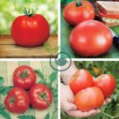 Park's Whopper CR Improved Tomato 200 Seeds