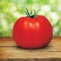 Park's Whopper CR Improved Tomato 200 Seeds