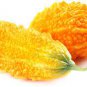 Yellow Momordica Organic 16 Seeds