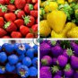 Purple Yellow Blue Red Giant Strawberry 200 Seeds