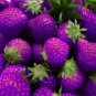 Purple Yellow Blue Red Giant Strawberry 200 Seeds